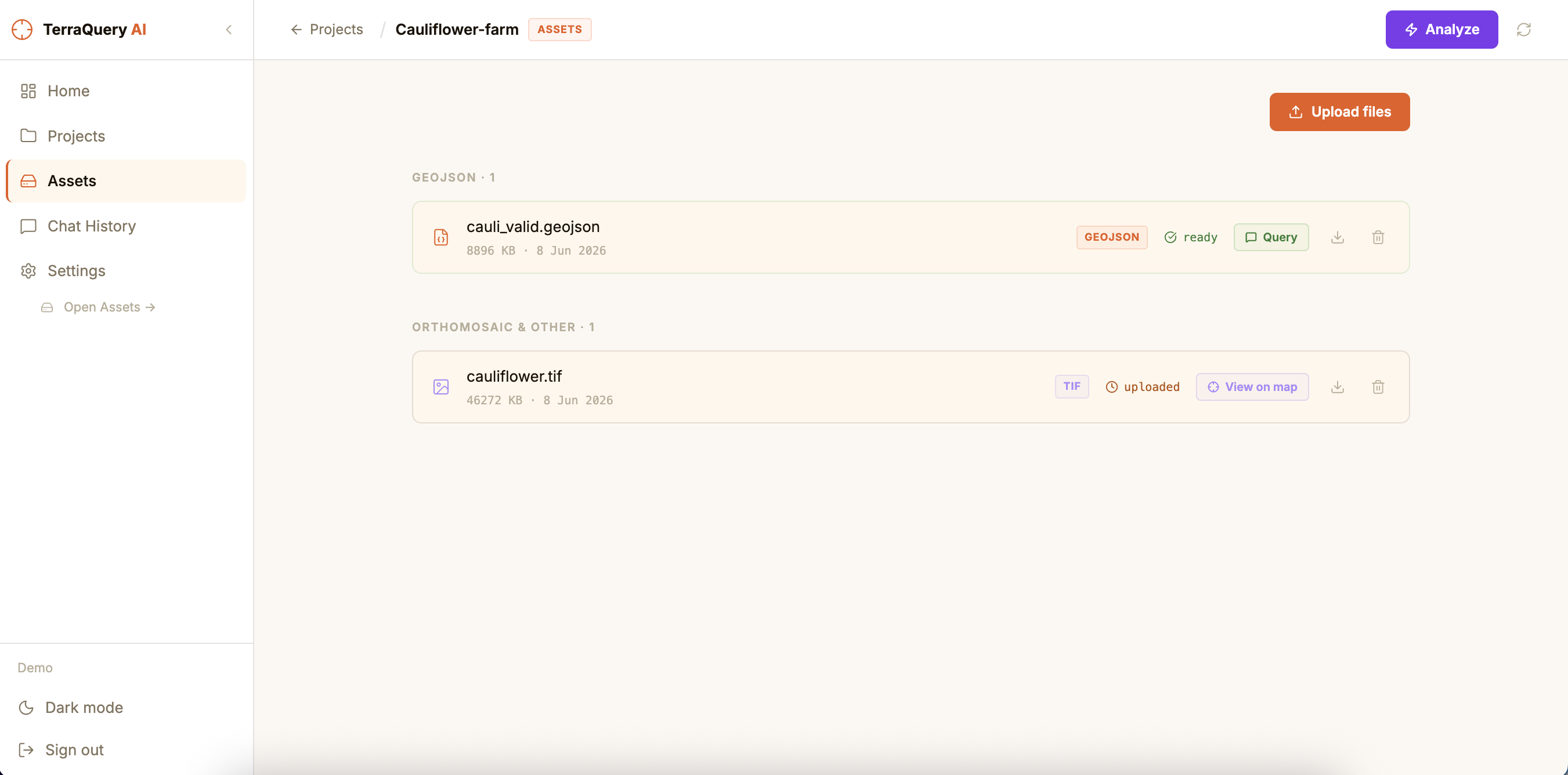 The Assets page showing a GeoJSON file marked ready and an orthomosaic TIFF marked uploaded, with an Analyze button